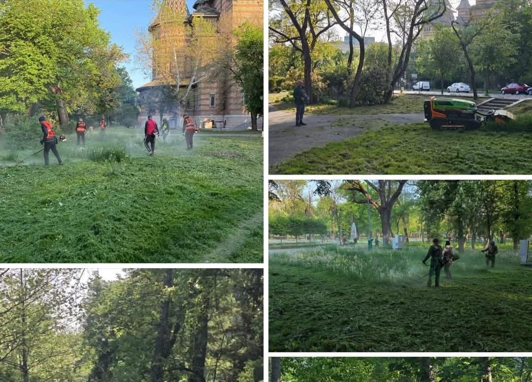 CONTROVERSE-SPATII VERZI-CONSILIER MUNICIPAL-AUR