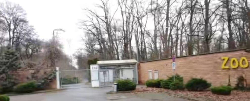 GRADINA ZOOLOGICA-TIMISOARA-2025-INCHISA-FARA PLAN