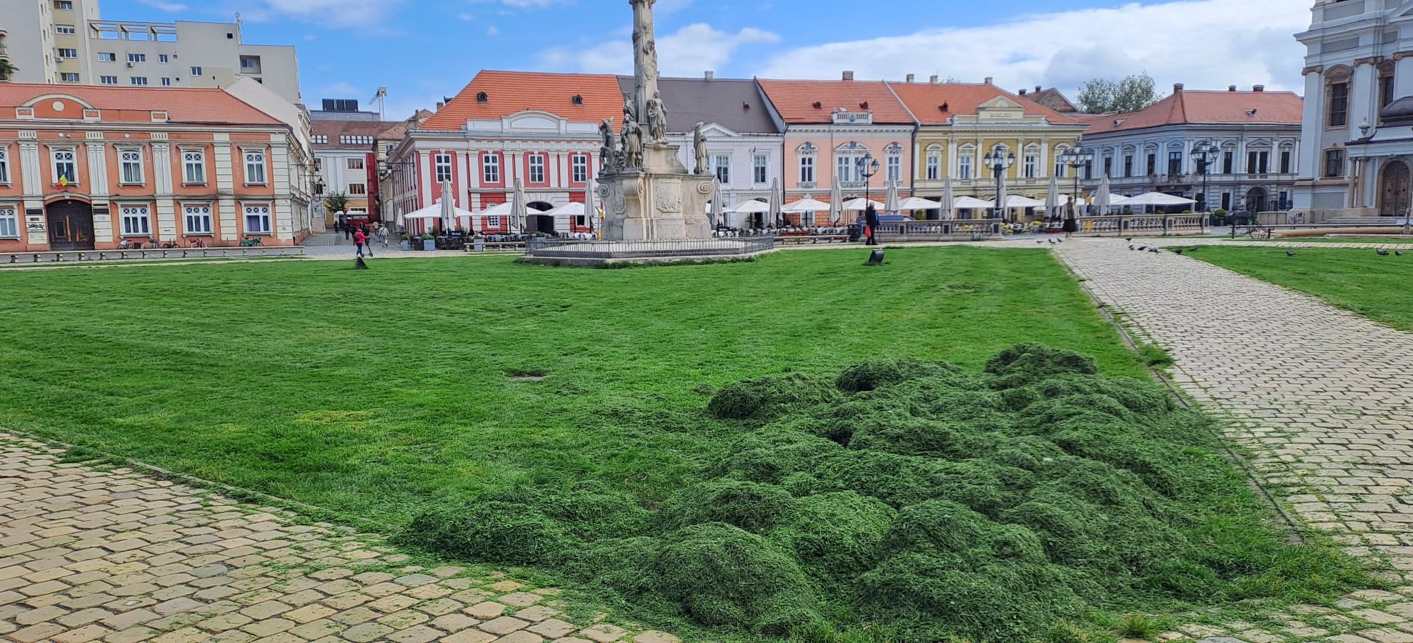 TIMISOARA-IARBA TAIATA-SI ABANDONATA-22 MAI 2025