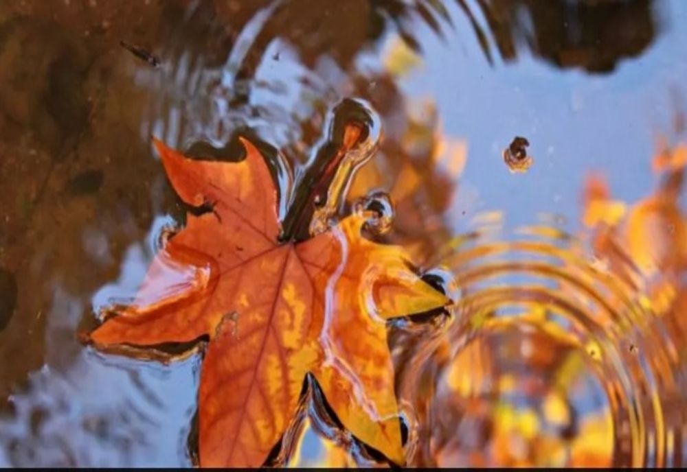 Vremea 8 noiembrie. Zi mohorâtă și ploi însemnate în jumătatea de sud-vest a țării: temperaturi între 12 și 18 grade