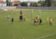 Unde Primaria nu face, intervin suporterii. Iubitorii de rugby hotărâți să repare tribuna stadionului pe care evoluează campionii României