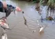 Braconieri prinși în flagrant în zona lacului Surduc