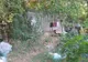 Colibe demolate de polițiștii locali