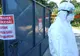 Alertă de pestă porcină în Timiș