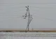 Situația alimentării cu energie electrică, la o săptămână de la marea ninsoare