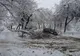 Avalanșă de urgențe, în Timișoara, din cauza zăpezii