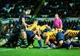 Timișoara Saracens vrea din nou în Europa. Campionii en-titre dau piept cu rușii de la Enisei Krasnoyarsk