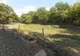 Skatepark nou la Timișoara după ani de amânări și procese în instanță