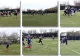 Regal de fotbal american la Timișoara cu echipe din România și Serbia. Foto și video