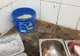 Descoperiri de groază ale inspectorilor DSV