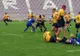 Timișoara Saracens câștigă cu bonus ofensiv în fața Stelei și urcă pe locul 2 în Superligă