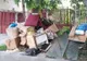 Curățenie de primăvară sub supravegherea Poliției Locale