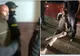 Soția bărbatului ucis de Ionel Boldea la Făget a murit în spital, la Timișoara