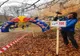 Invitație la o întrecere cu telescaunul în Parâng