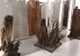 Expoziție de excepție în Bastionul Theresia din Timișoara. Păsări împăiate in urmă cu aproape 100 de ani și fluturi de noapte aduse în fața timișorenilor
