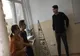 Plimbare printr-o nouă pădure de brazi, care răsare în inima Timișoarei