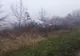 Accidente rutiere în Timiș