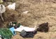 Resturi umane, descoperite pe un câmp de lângă Timișoara
