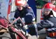 Un bărbat a provocat un accident în lanț pe DN7, din cauză că a fost mai atent la cățelul pe care îl transporta în mașină decât la circulație