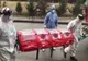 Coronavirus: bilanț în Timiș