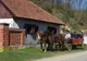 Discover Timiș, comuna Margina, evadare din cotidian. Video