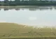 Situație gravă, în Timiș. Pagube serioase în agricultură, produse de fenomene meteo extreme