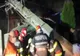 VIDEO Grav accident rutier în Timiș! Două persoane au decedat