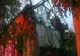 Un bătrân a murit în incendiul care i-a cuprins gospodăria. A fost pericol de explozie