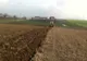 Corpul neînsuflețit al unui copilaș de doar două zile a fost găsit la marginea Timișoarei