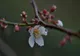 Vreme frumoasă la început de săptămână, în Banat și Crișana