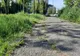 Parcurile din Timișoara, un dezastru: iarbă netunsă și mașini parcate pe spațiul verde