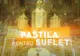 PASTILA PENTRU SUFLET - „Căutați să se facă voia lui Dumnezeu și toate vor merge bine!”
