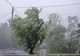 Alertă meteo - COD galben de vânt puternic în mai multe județe - Care sunt zonele vizate