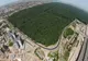 Pădurea Verde se transformă în pădure parc! Intervenții minim invazive pentru crearea unui nou punct de atracție al orașului