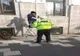 La Timișoara un bărbat a încercat să sustragă drapelul Ucrainei, arborat în fața primăriei alături de steagurile altor țări. Nu este la primul gest de acest fel