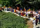 EVENIMENT CU PUTERNIC MESAJ NAȚIONAL: AUR OMAGIAZĂ MOȚII DIN APUSENI