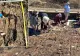Descoperire arheologică uriașă. Cum se trăia în România acum 6.000 de ani: fără lideri, fără elite, sistem social egalitar