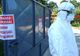 Situația epidemiei de pestă porcină africană în județul Timiș