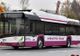 Ministerul Dezvoltării cumpără 44 de autobuze pentru Timișoara. A fost lansată licitația