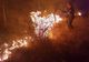 10 incendii pe zi. Pompierii avertizează: nu le mai dați foc