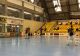 Campioana en-titre pierde teren în apărarea titlului. Informatica Timișoara învinsă în startul play-off-ului