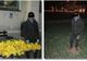 Prăpăd făcut de un tânăr într-un parc din zona centrală la Timișoara. Bărbatul a fost prins de polițiști când încerca să fugă