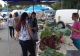 O nouă piață volantă la Timișoara. Unde urmează să fie deschisă?