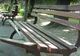 Un bărbat a vandalizat un parc din centrul Timișoarei
