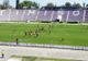 Final de tur pentru Timișoara Saracens. Rugbyștii bănățeni primesc vizita Tomitanilor Constanța