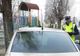 Amenzi cu nemiluita în parcurile din Timișoara. În ce hal au ajuns  
