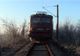 Trafic feroviar blocat în Timiș, după ce vântul puternic a pus la pământ un copac