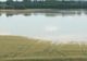 Situație gravă, în Timiș. Pagube serioase în agricultură, produse de fenomene meteo extreme