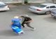 Femeie de 81 de ani, tâlhărită de un tânăr care i-a smuls lanțișorul de aur de la gât.  Video!