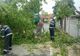 Cod roșu de furtuni. Vijeliile au făcut prăpăd în țară -  VIDEO